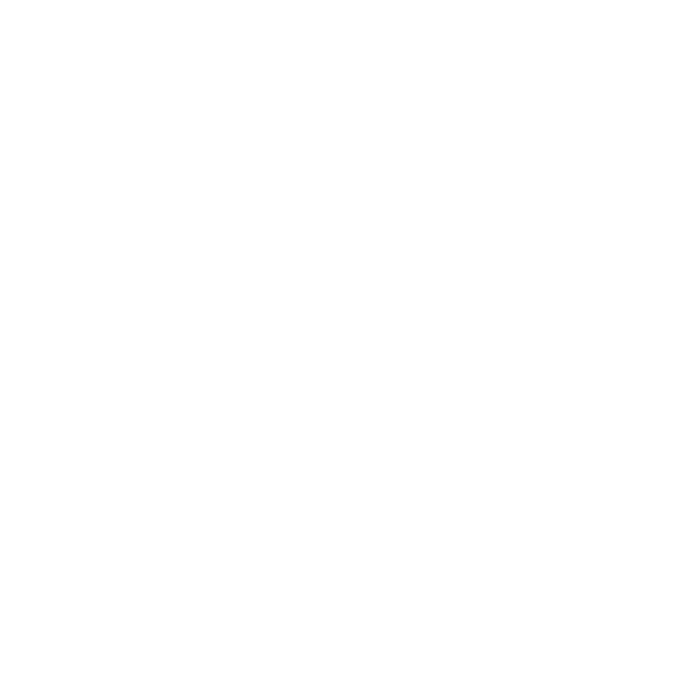 tissot-1